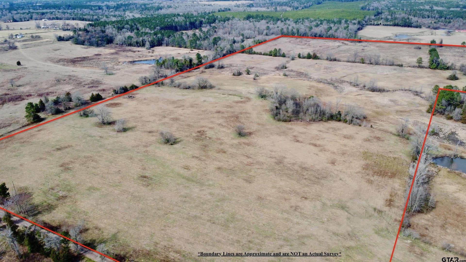 68.59 acres in Cass County - photo 2