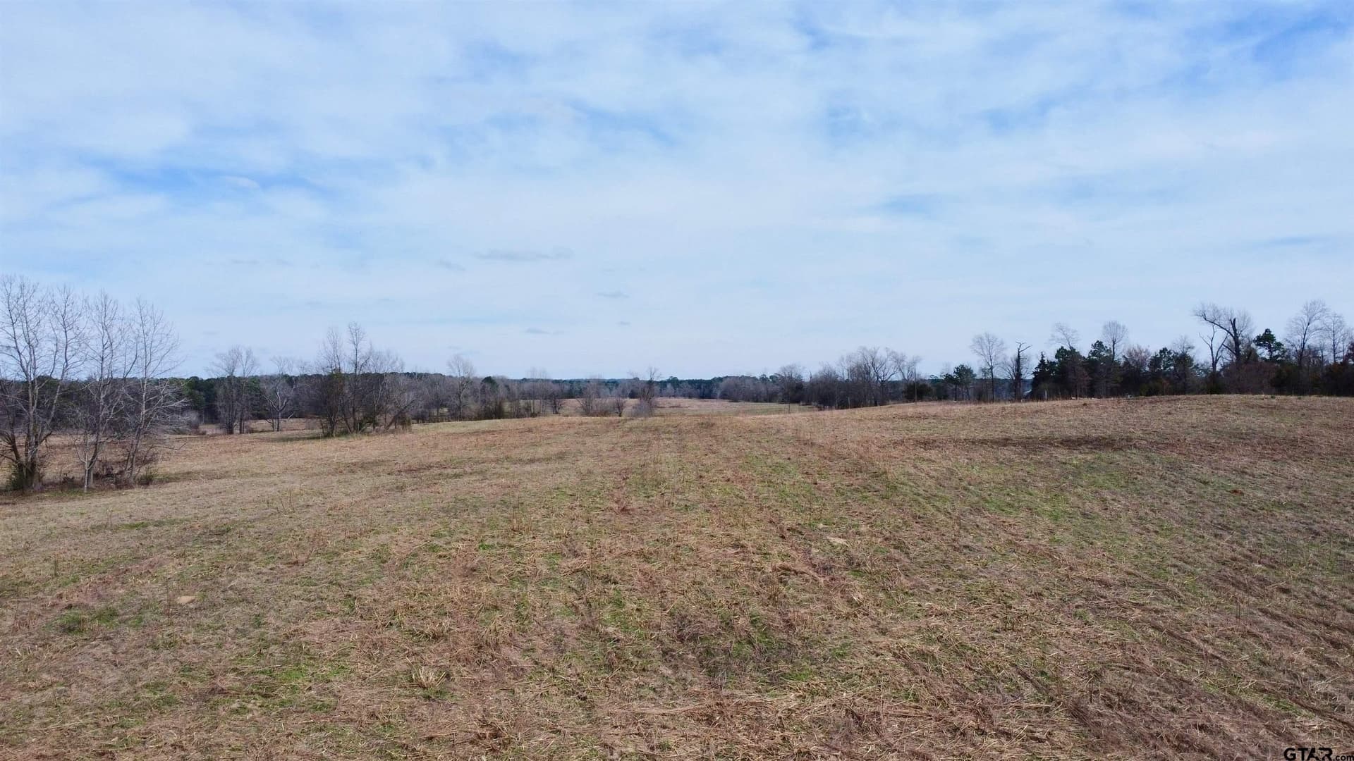 68.59 acres in Cass County - photo 6