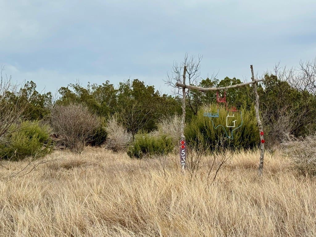 43.37 acres in Coke County - photo 3