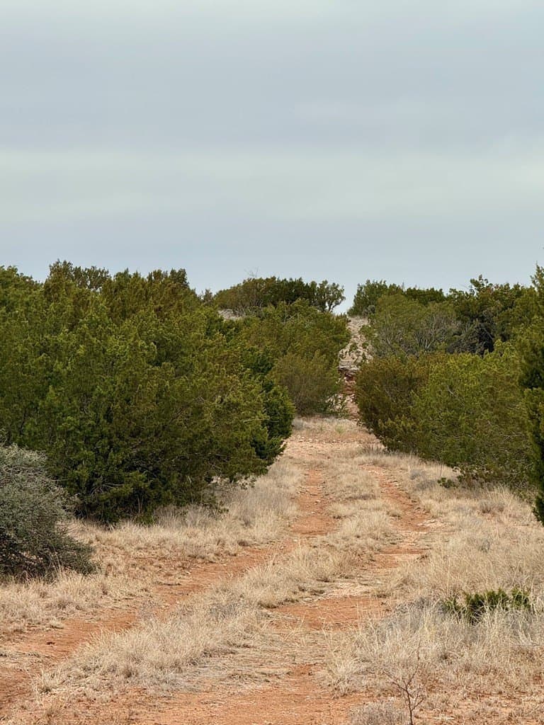 43.37 acres in Coke County - photo 4