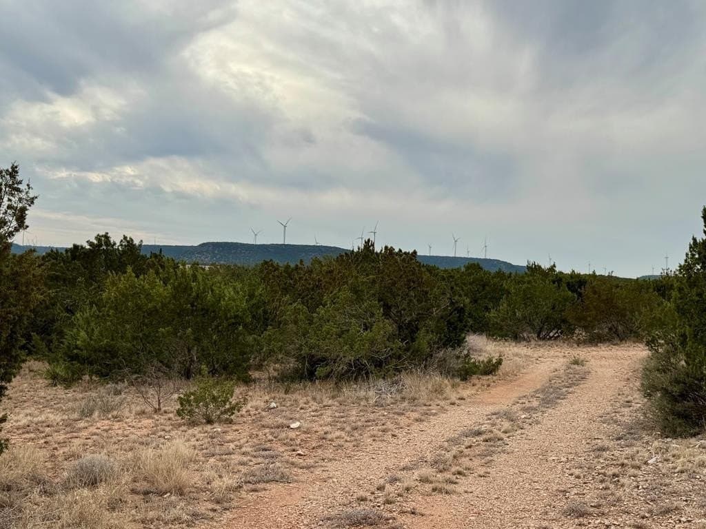 43.37 acres in Coke County - photo 2