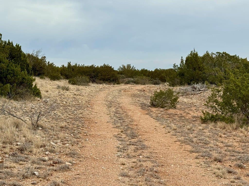 43.37 acres in Coke County - photo 5