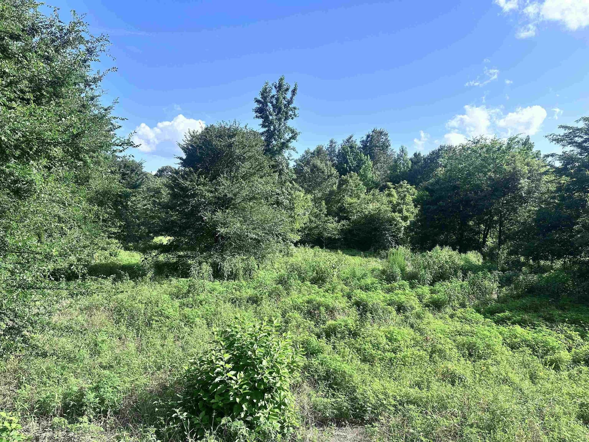 1 acres in Upshur County - photo 2
