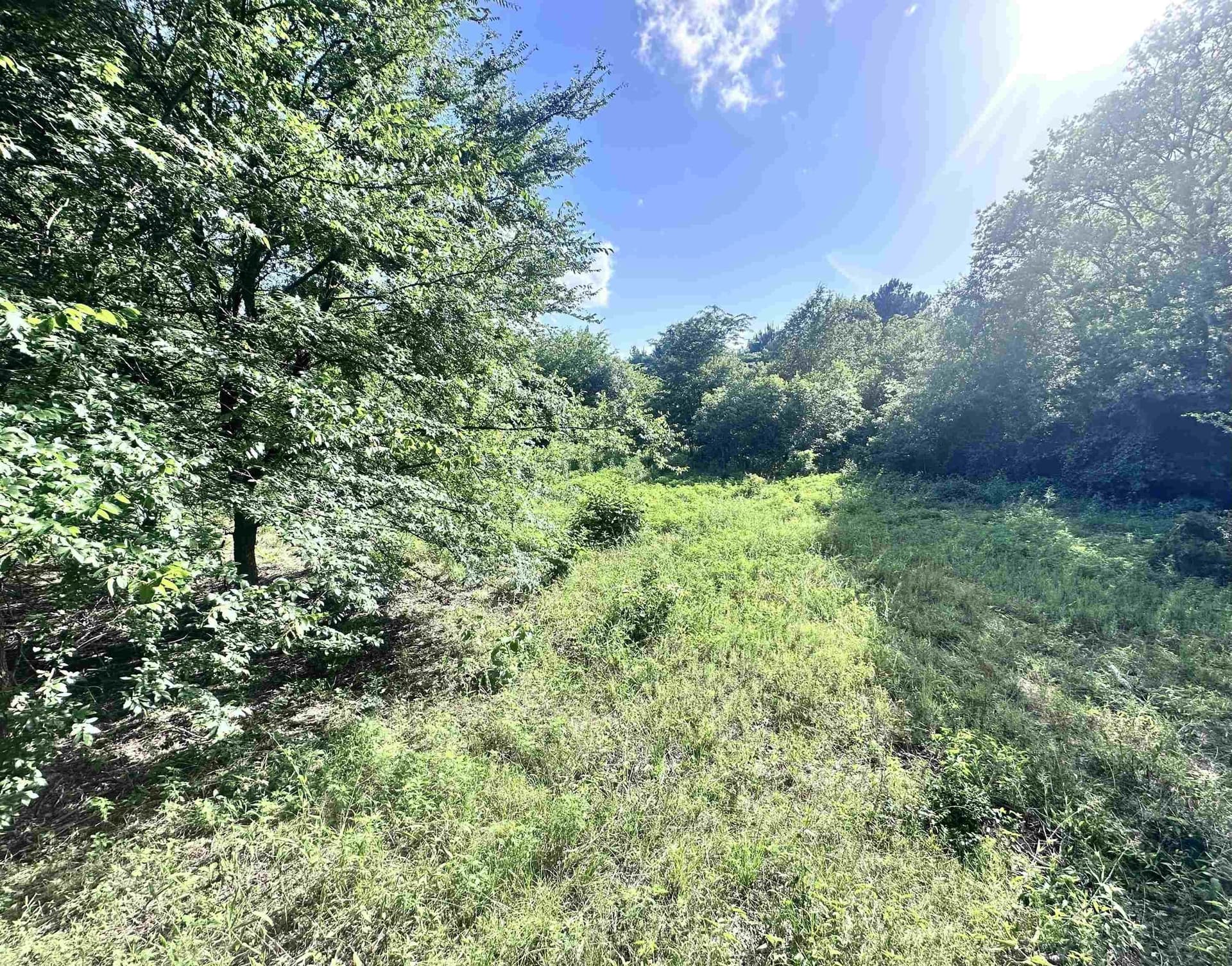 1 acres in Upshur County - photo 3