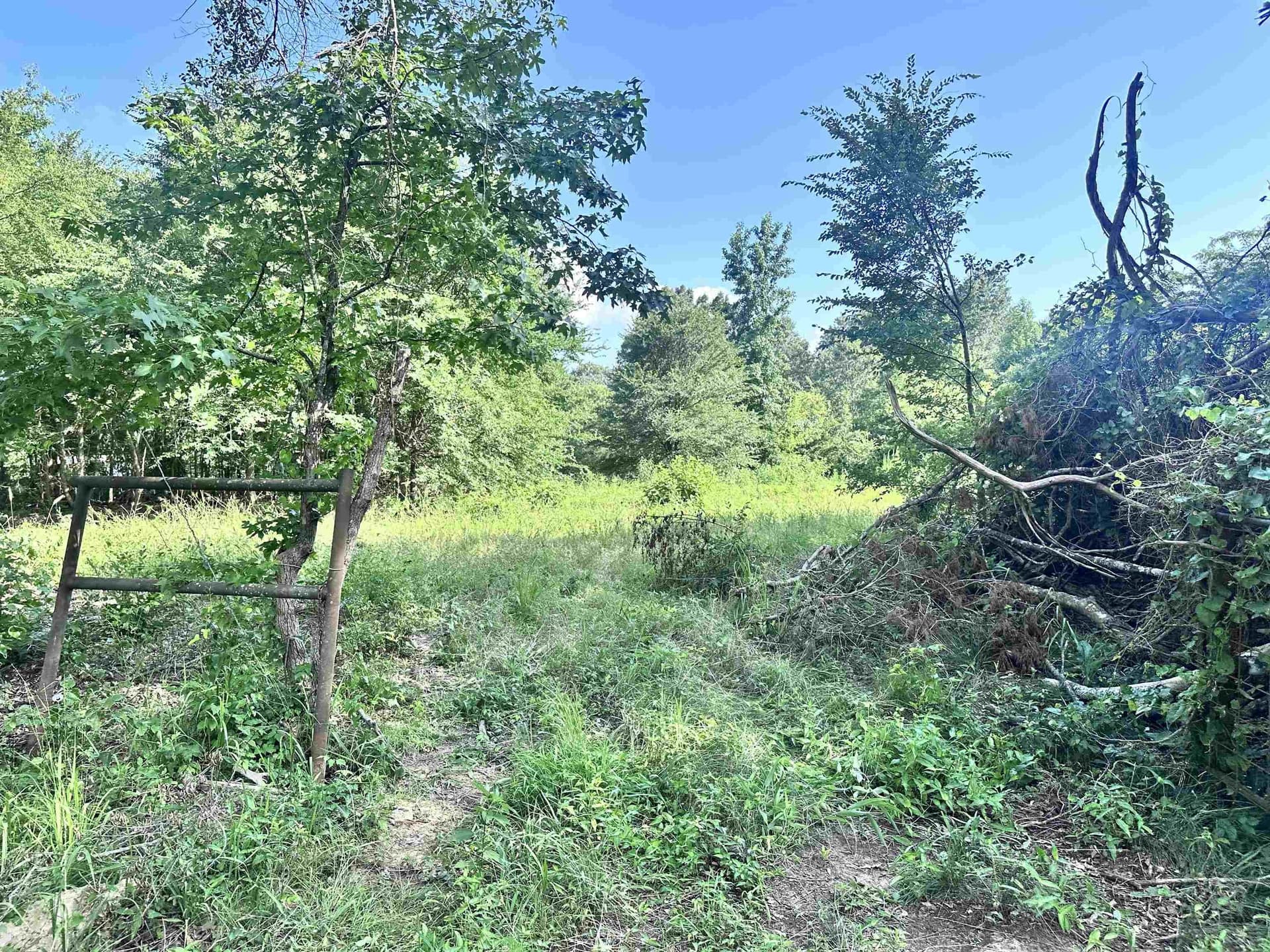 1 acres in Upshur County - photo 4