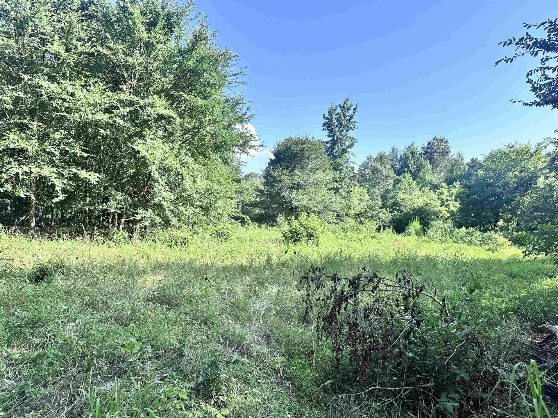 Tbd Cherokee Trace