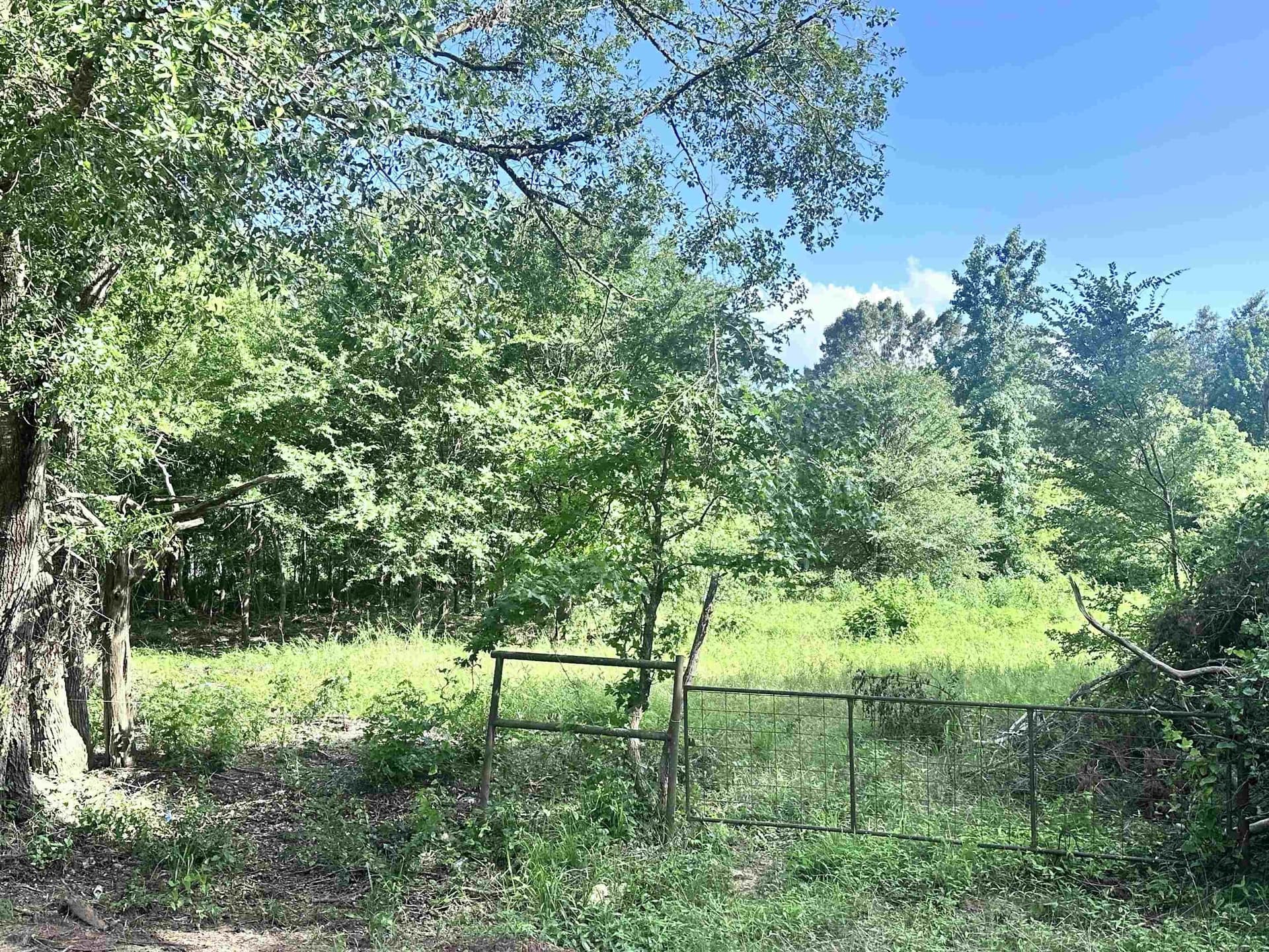 1 acres in Upshur County - photo 5