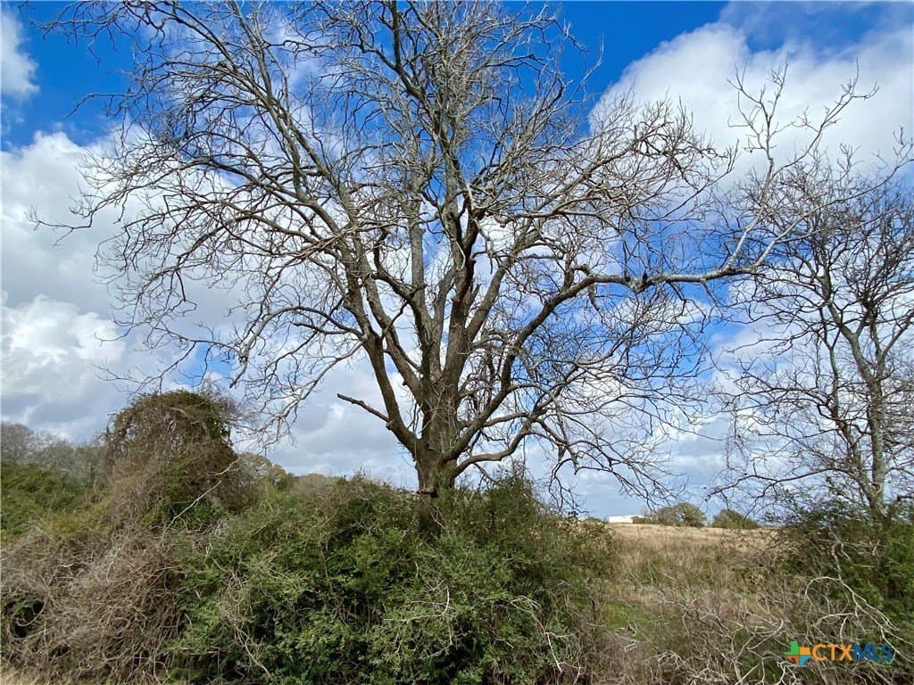 17.96 acres in Jackson County - photo 16