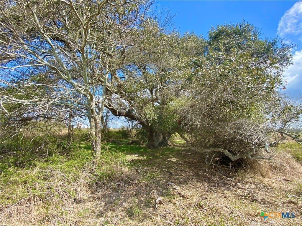 17.96 acres in Jackson County - photo 8