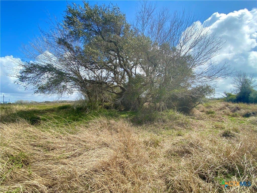 17.96 acres in Jackson County - photo 7