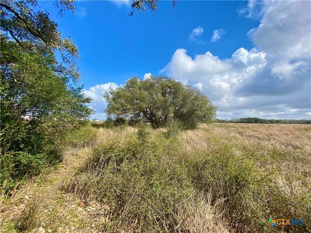 17.96 acres in Jackson County - photo 9