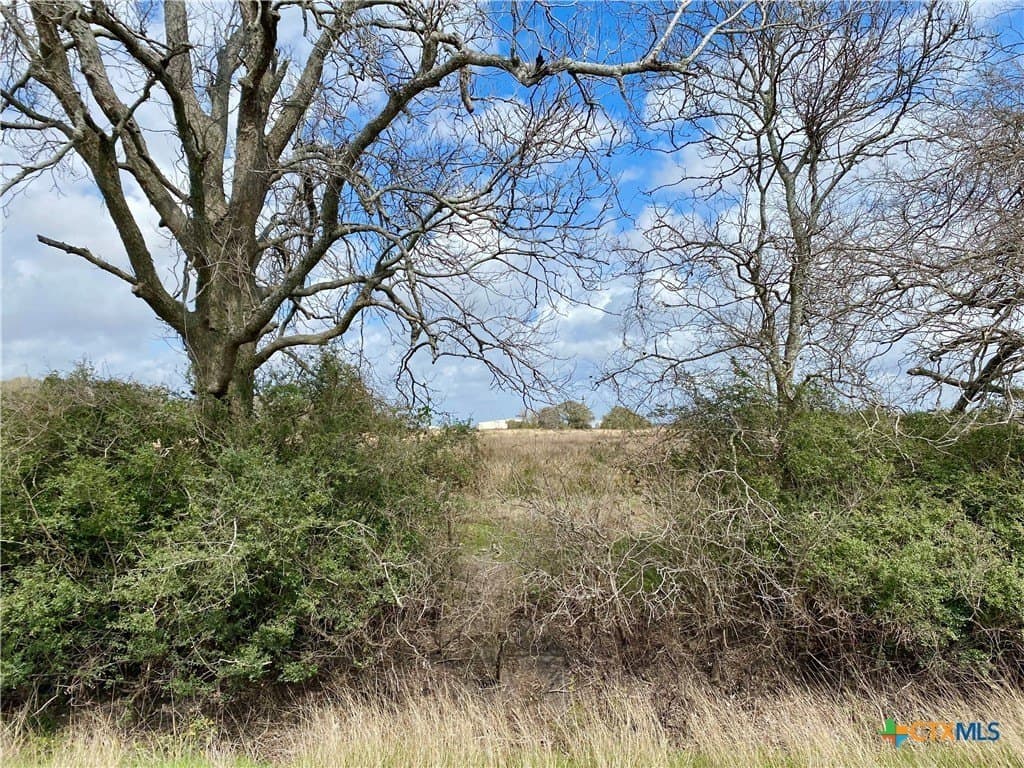 17.96 acres in Jackson County - photo 15