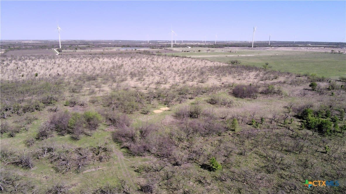 195 acres in Limestone County - photo 7