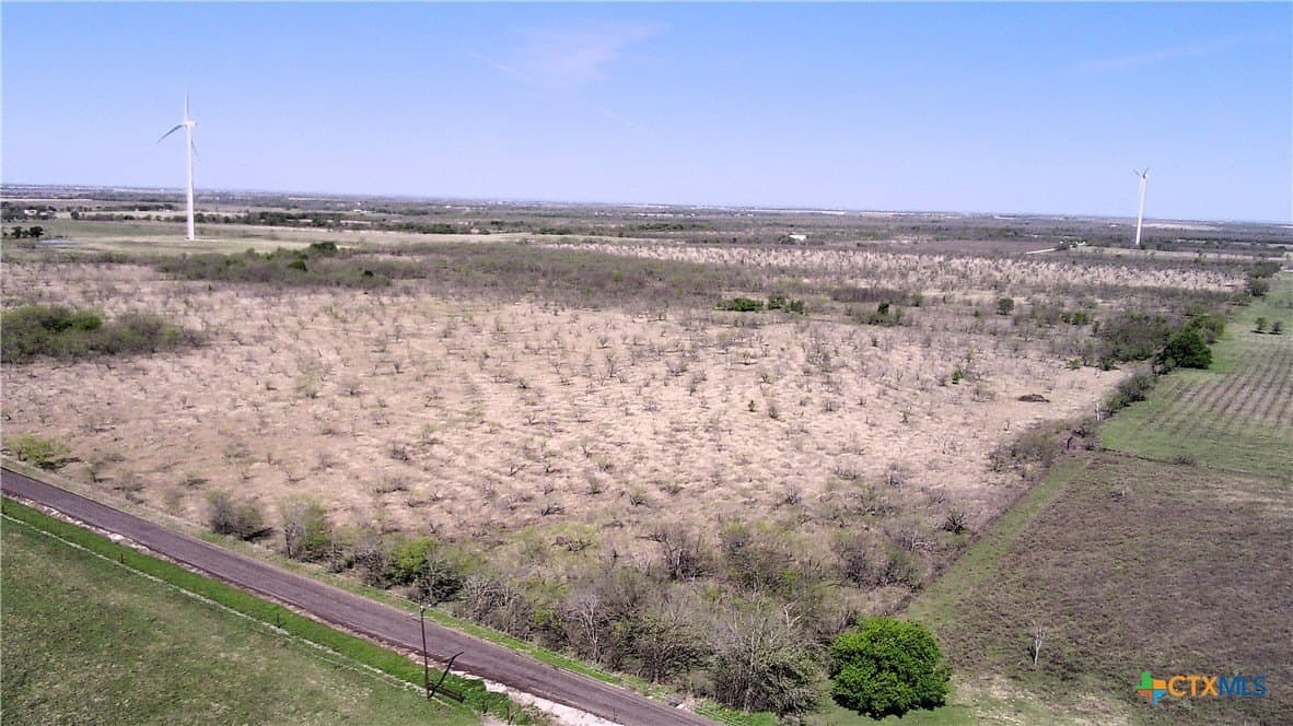 195 acres in Limestone County - photo 2