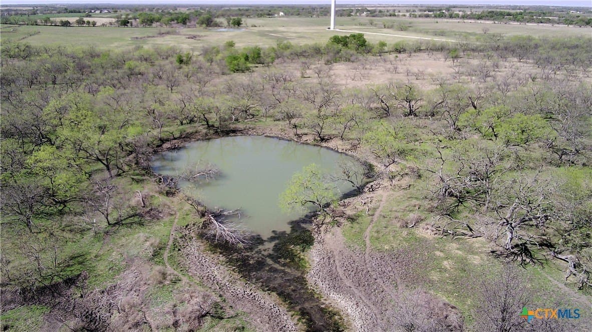195 acres in Limestone County - photo 12