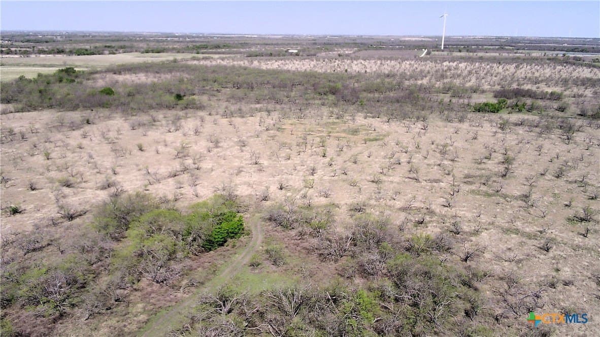 195 acres in Limestone County - photo 3