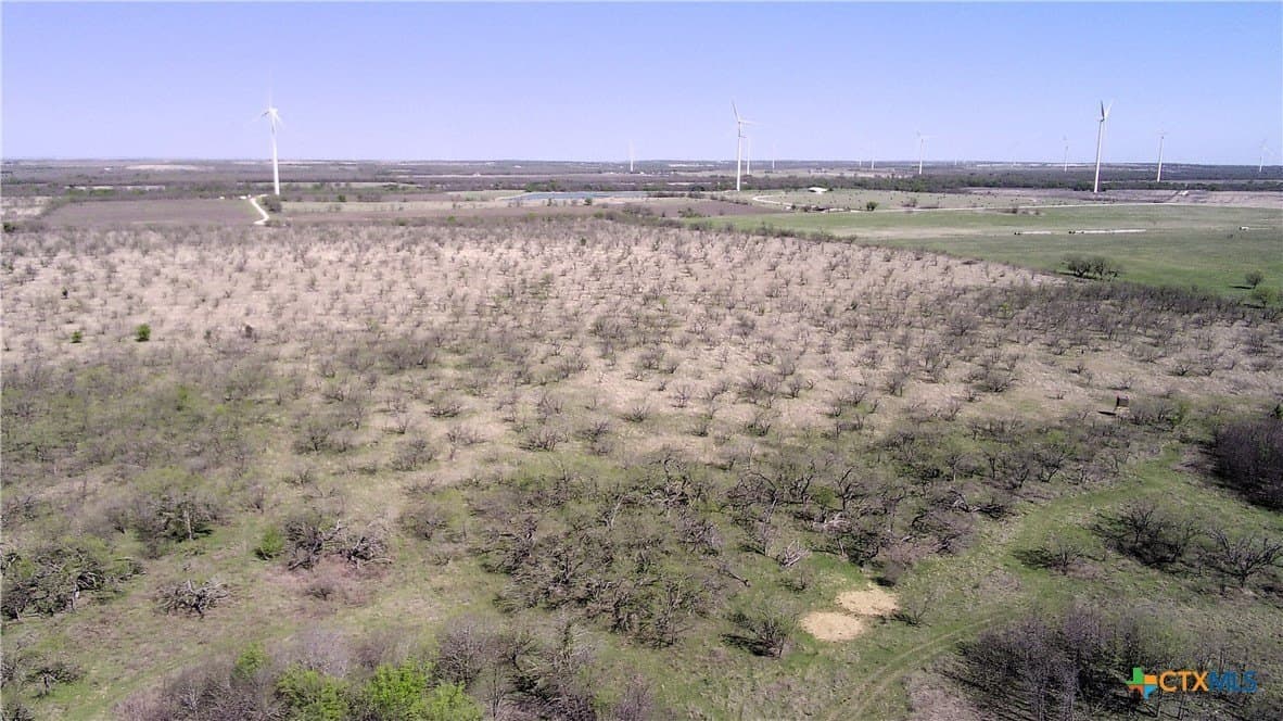 195 acres in Limestone County - photo 5