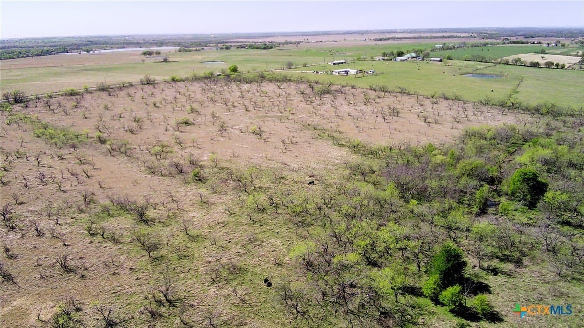 195 acres in Limestone County - photo 4