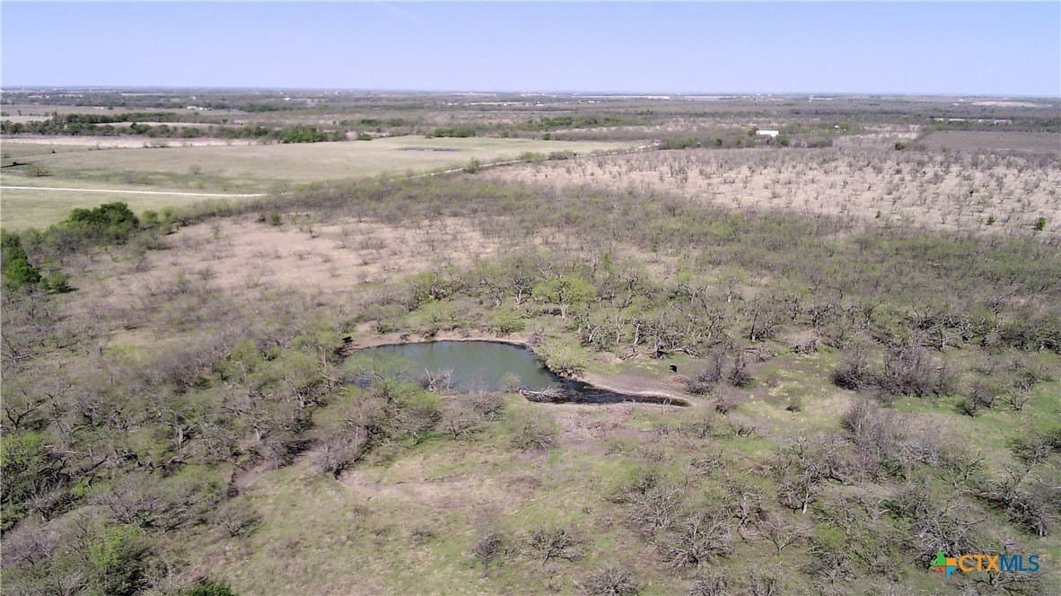 195 acres in Limestone County - photo 9