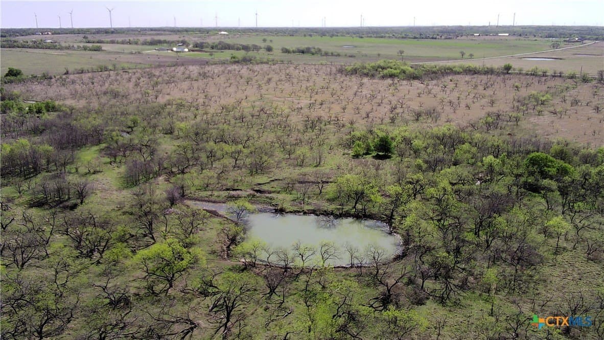 195 acres in Limestone County - photo 11