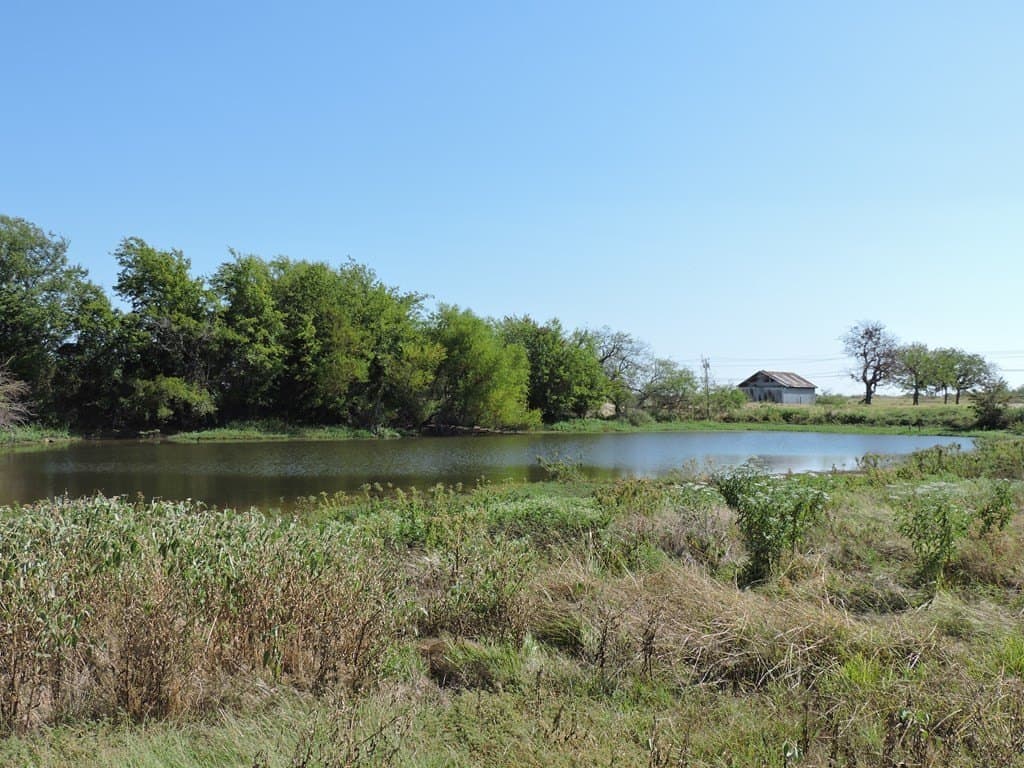 7.95 acres in Henderson County - photo 4