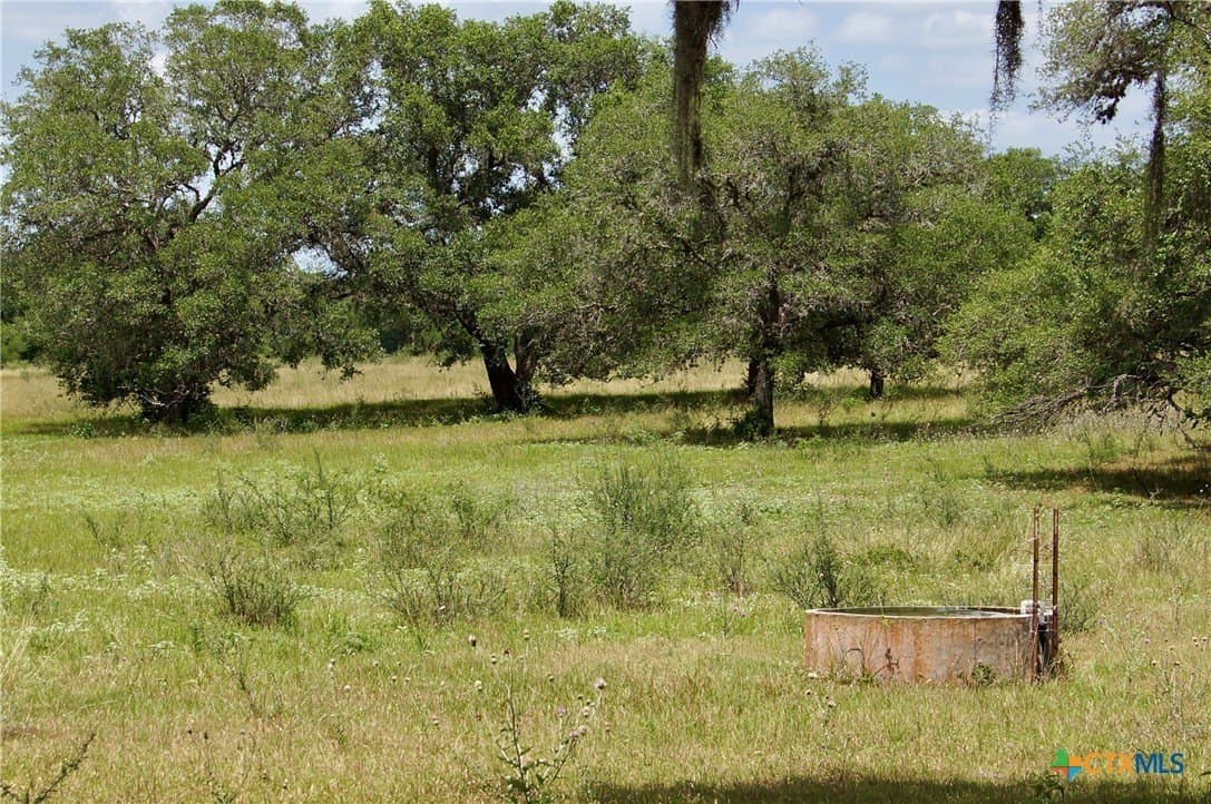 35.2 acres in DeWitt County - photo 6
