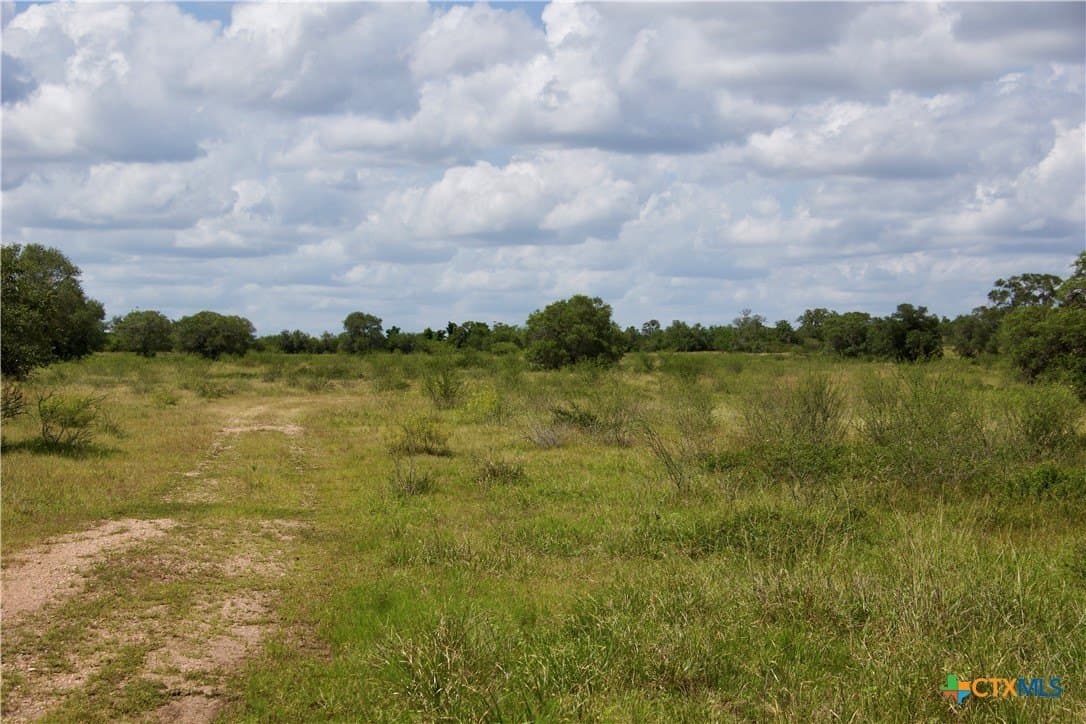35.2 acres in DeWitt County - photo 29
