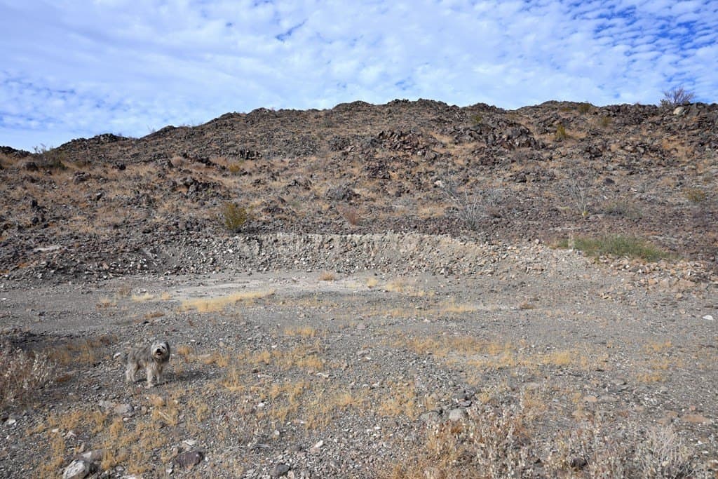 10 acres in Brewster County - photo 24