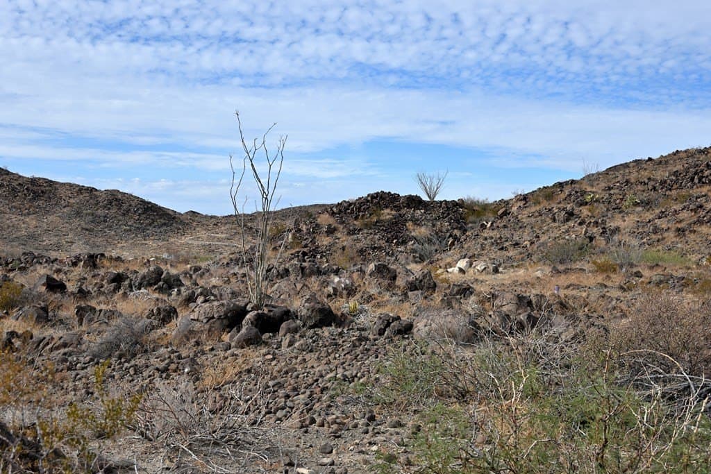 10 acres in Brewster County - photo 21