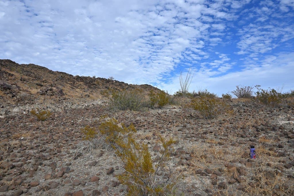 10 acres in Brewster County - photo 9