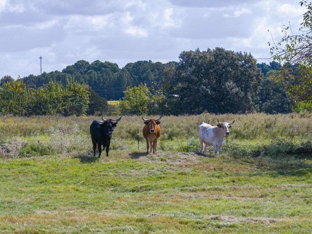 24.74 acres in Van Zandt County - photo 18