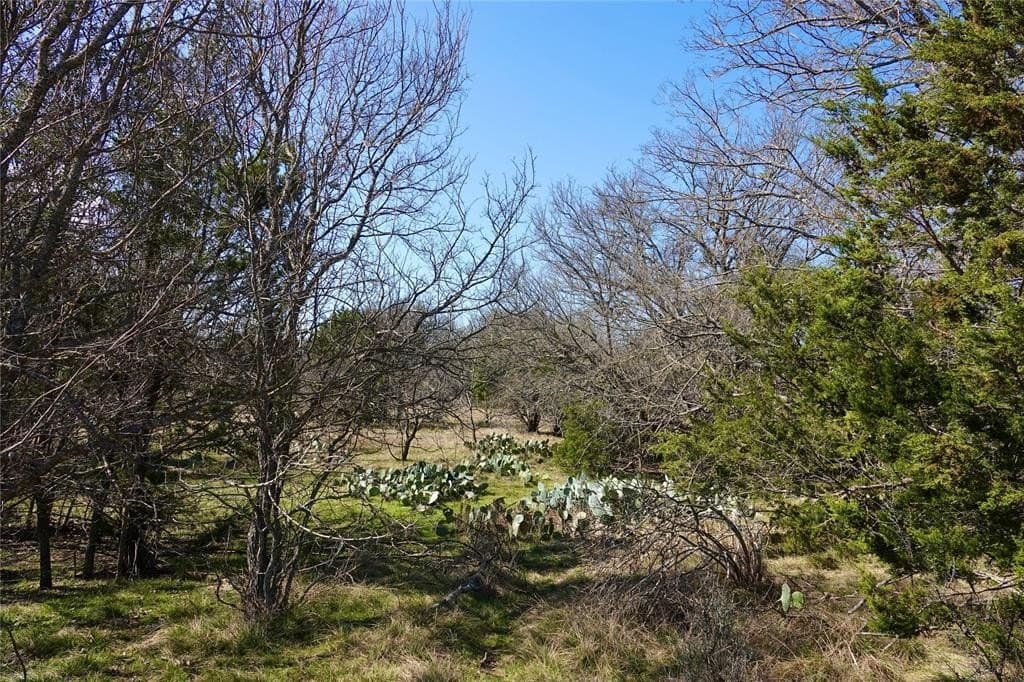 15 acres in Mills County - photo 30