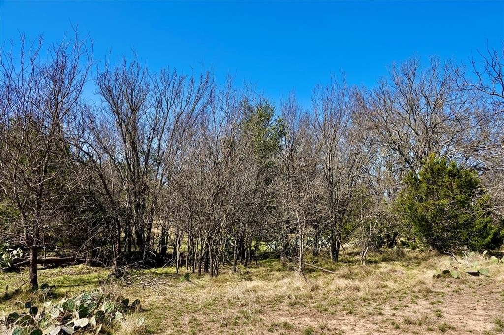 15 acres in Mills County - photo 36
