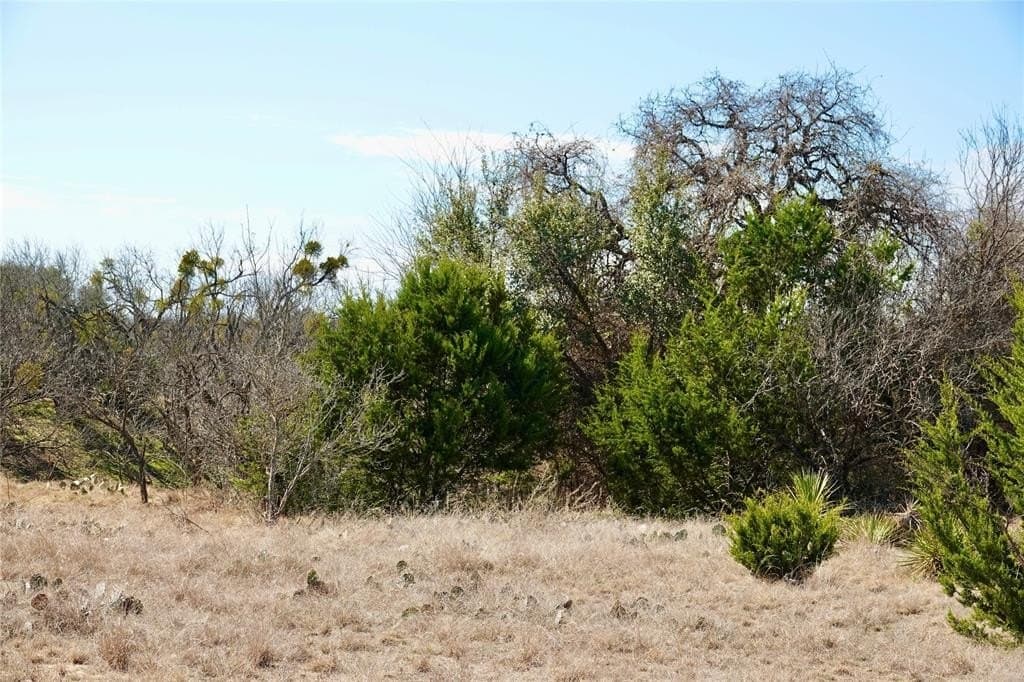 15 acres in Mills County - photo 40