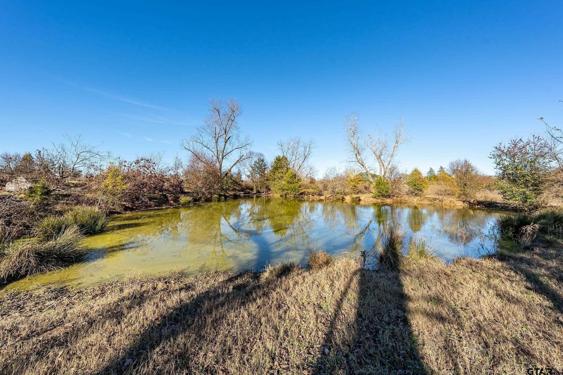 29.81 acres in Smith County - photo 8