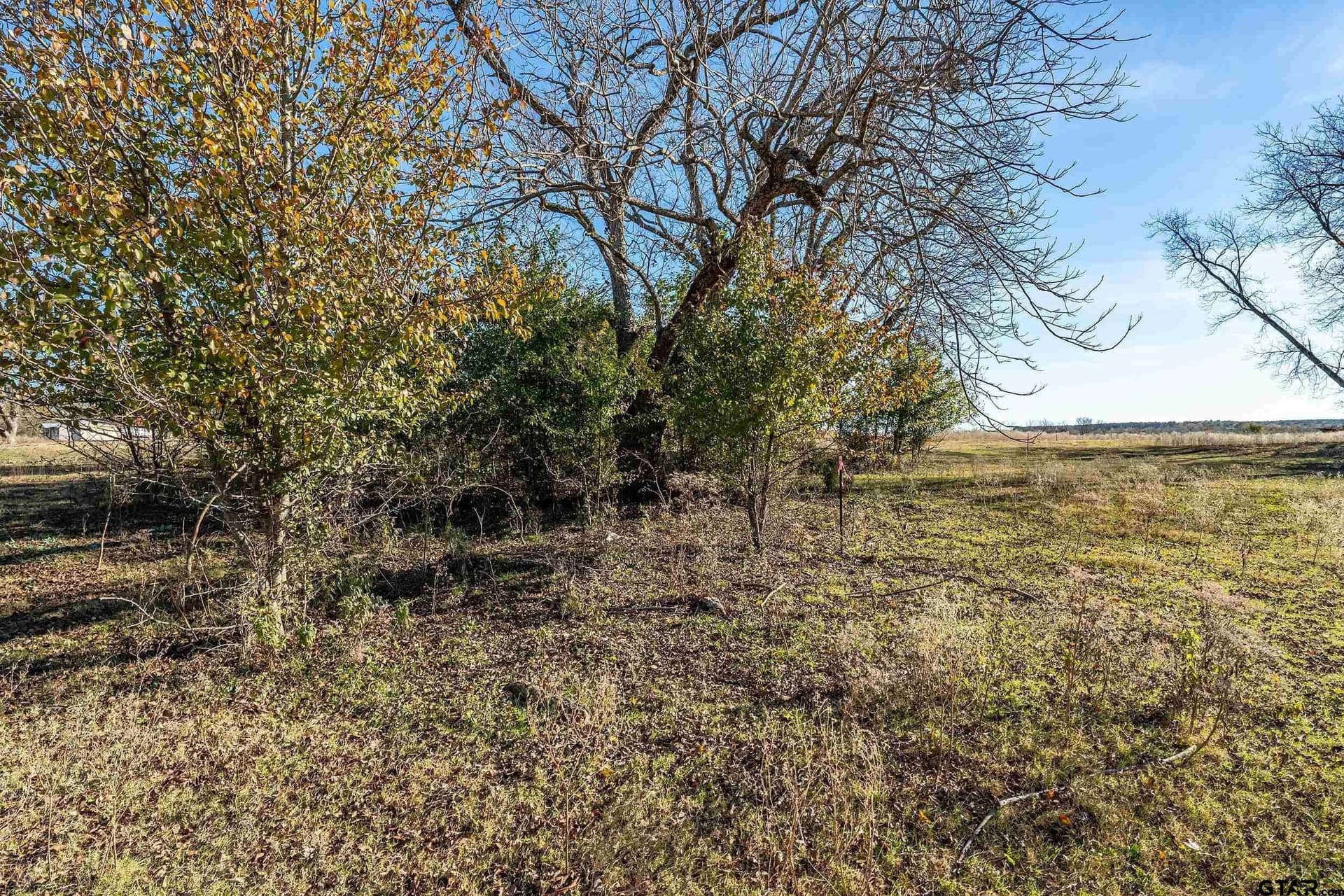 29.81 acres in Smith County - photo 5