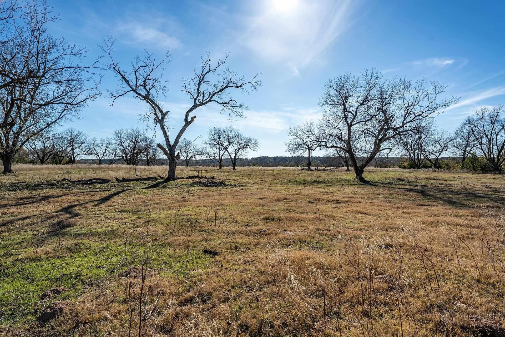 29.81 acres in Smith County - photo 2
