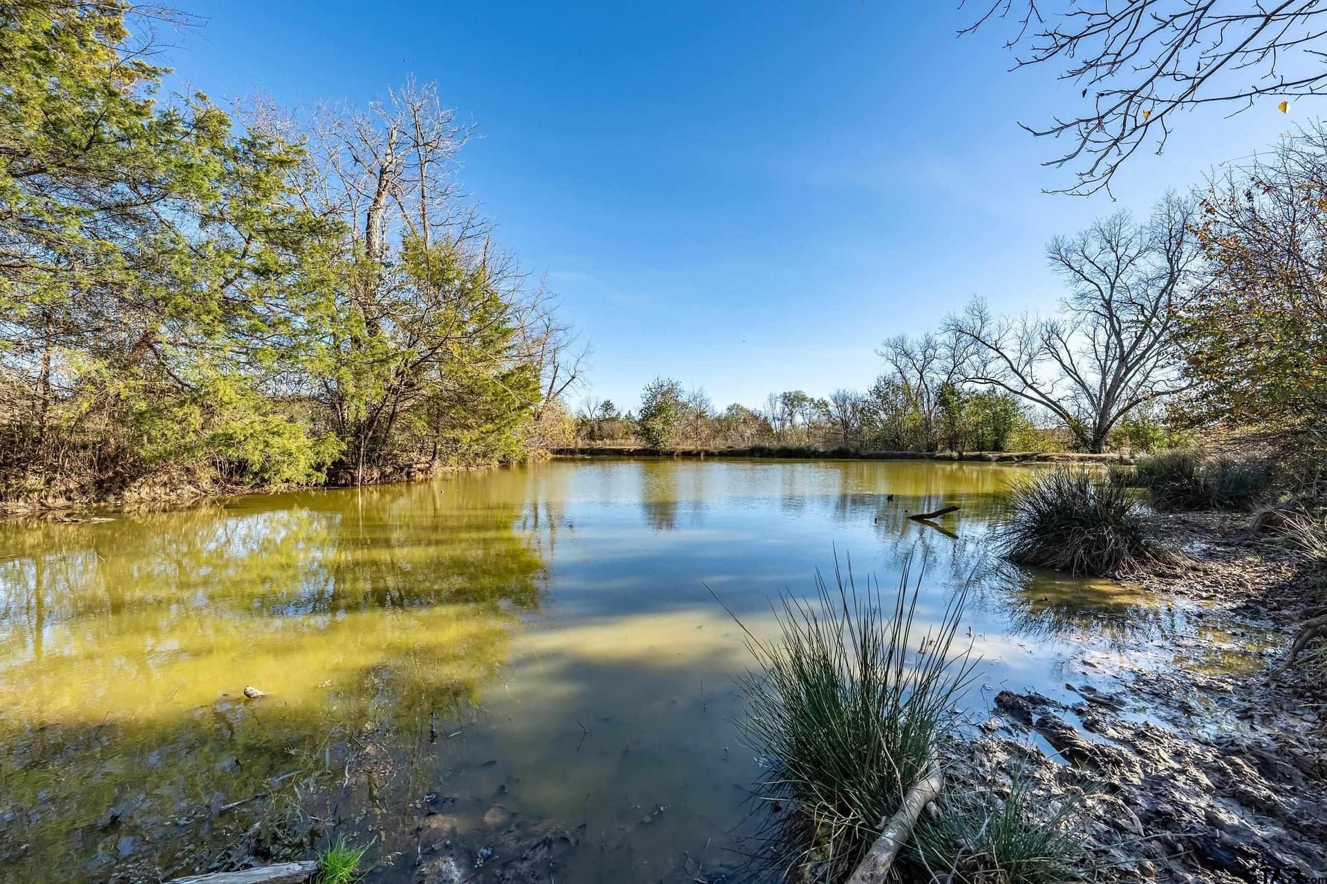 14461 County Road 46 (Lot 4)