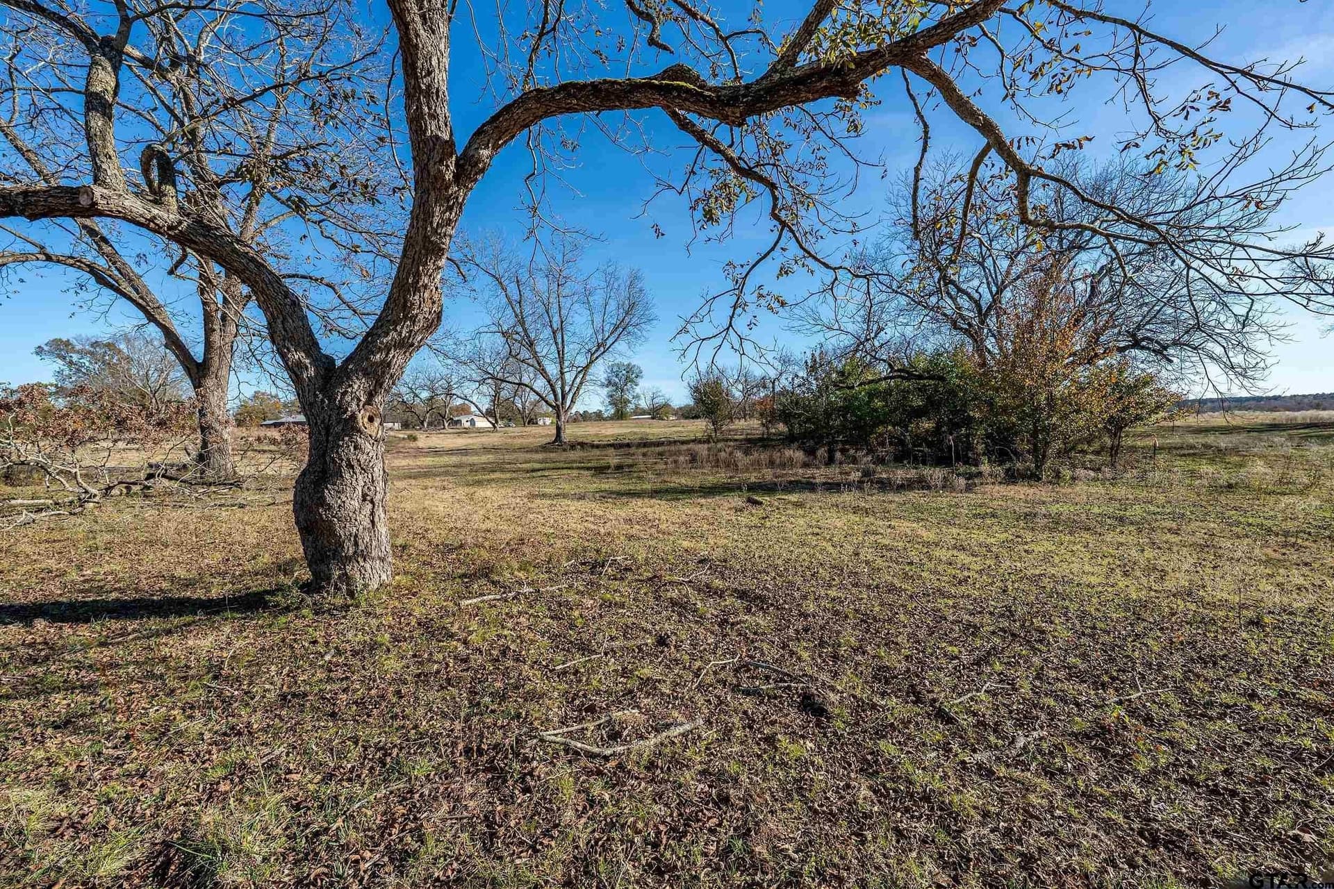 29.81 acres in Smith County - photo 4