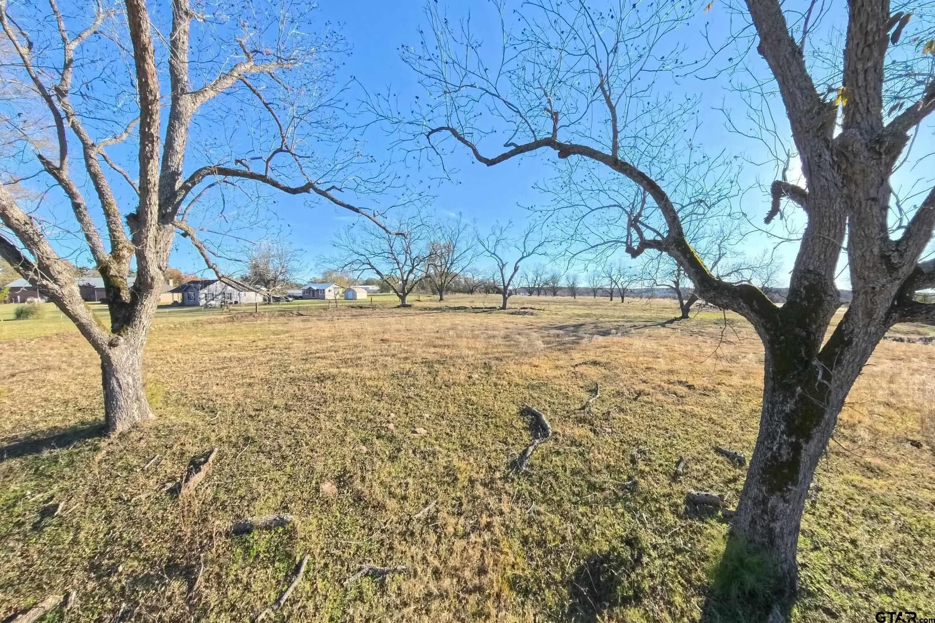 29.81 acres in Smith County - photo 10