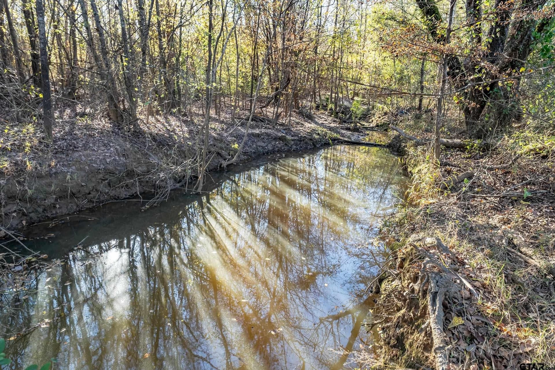 29.81 acres in Smith County - photo 9