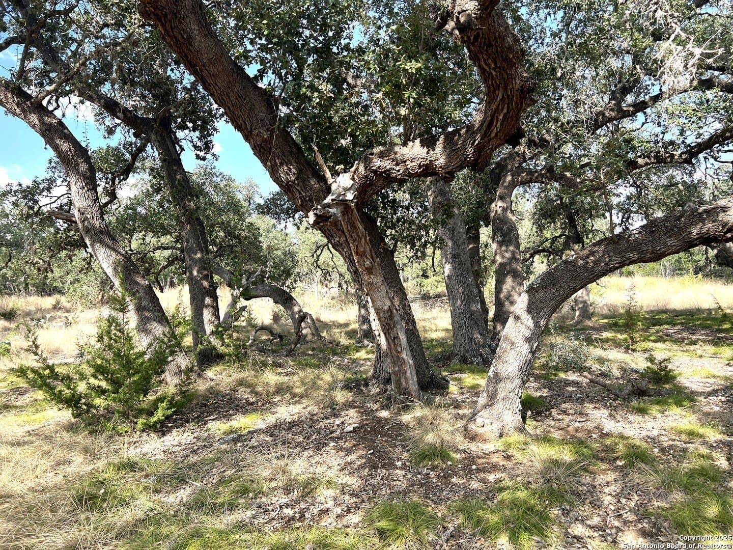 10.73 acres in Bandera County - photo 77