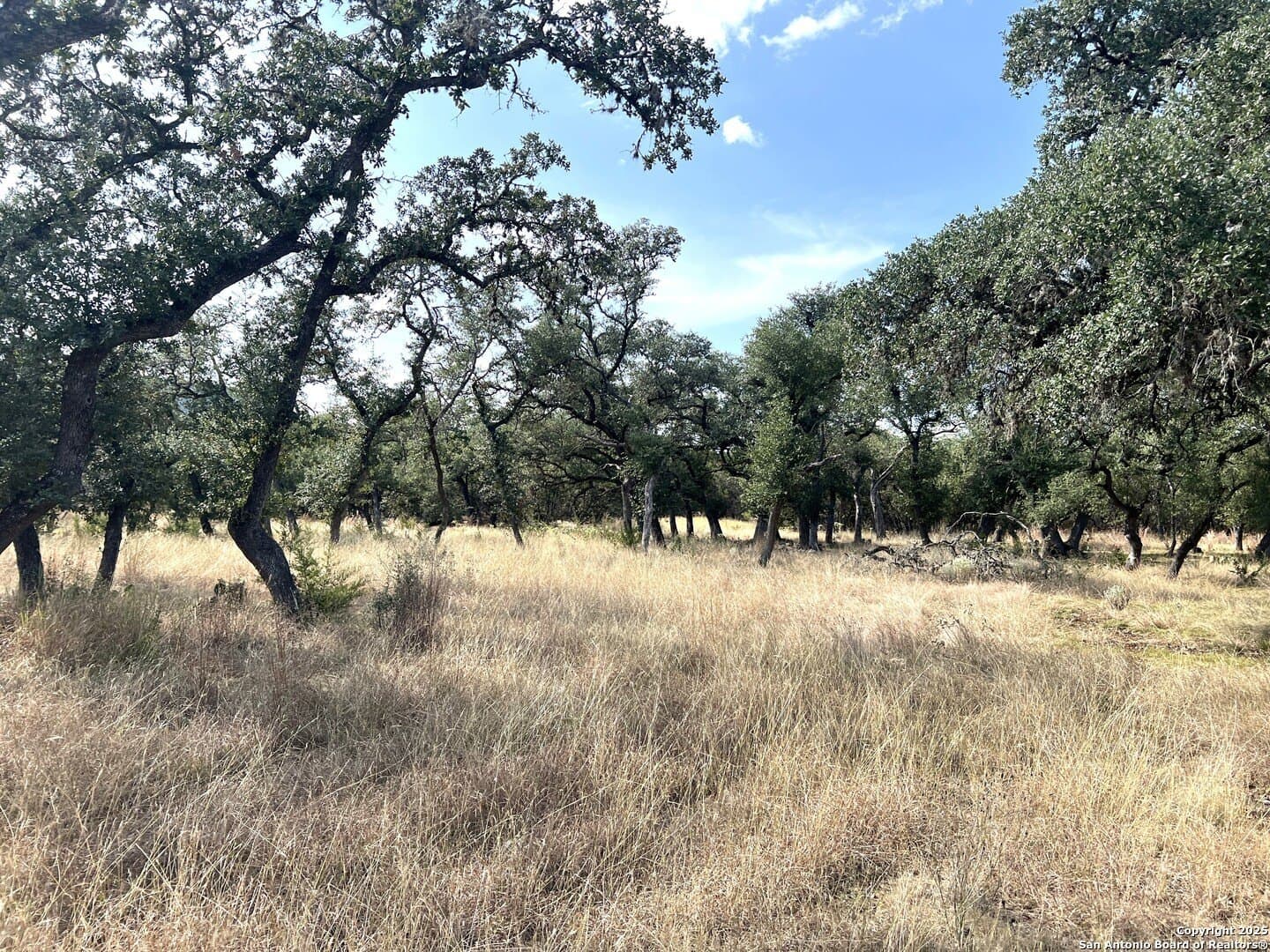 10.73 acres in Bandera County - photo 75