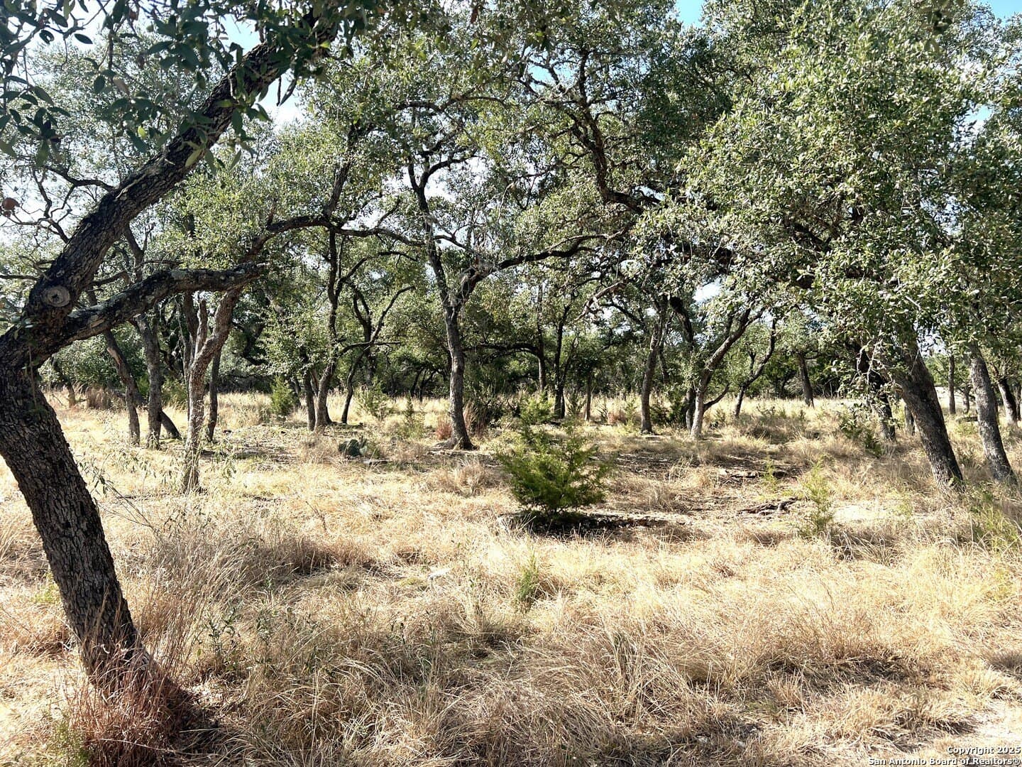 10.73 acres in Bandera County - photo 78