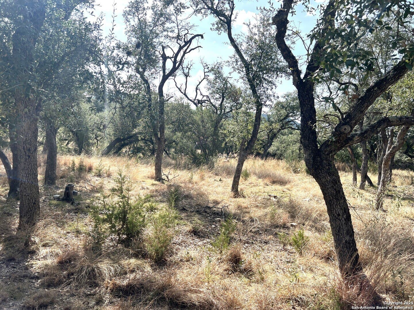 10.73 acres in Bandera County - photo 79