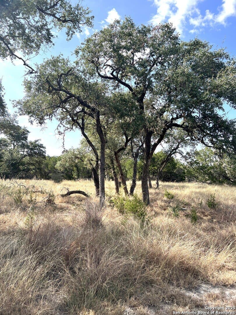 10.73 acres in Bandera County - photo 80