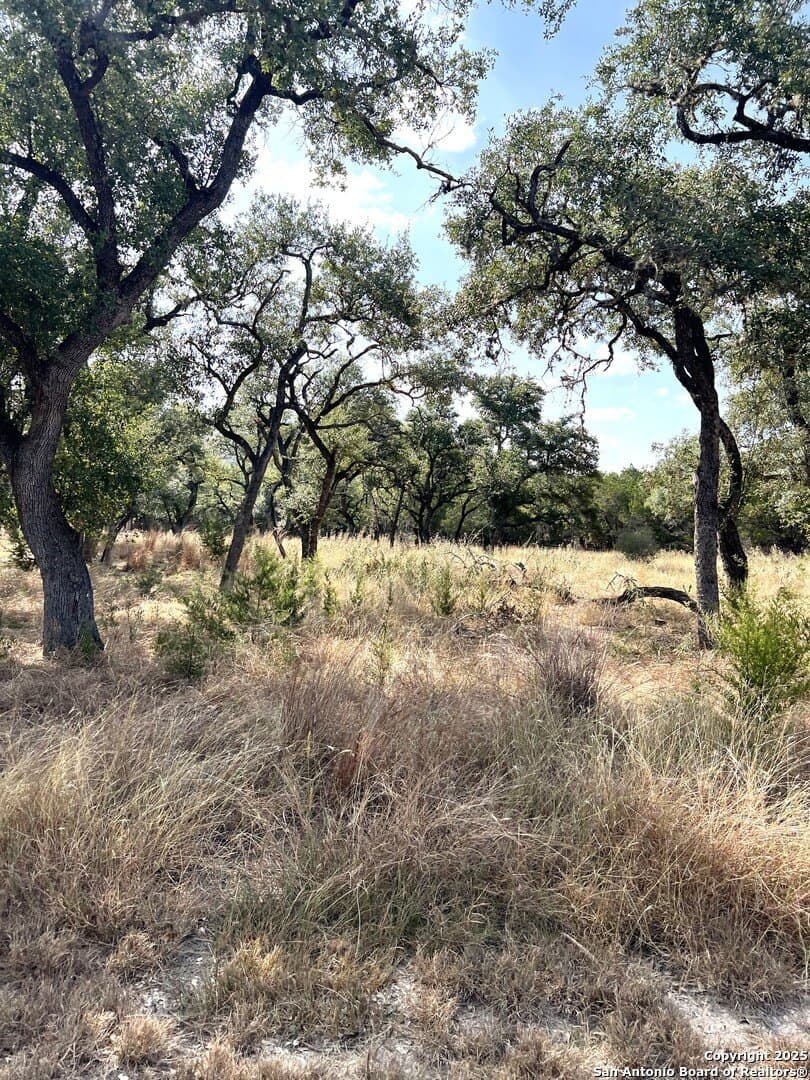 10.73 acres in Bandera County - photo 81