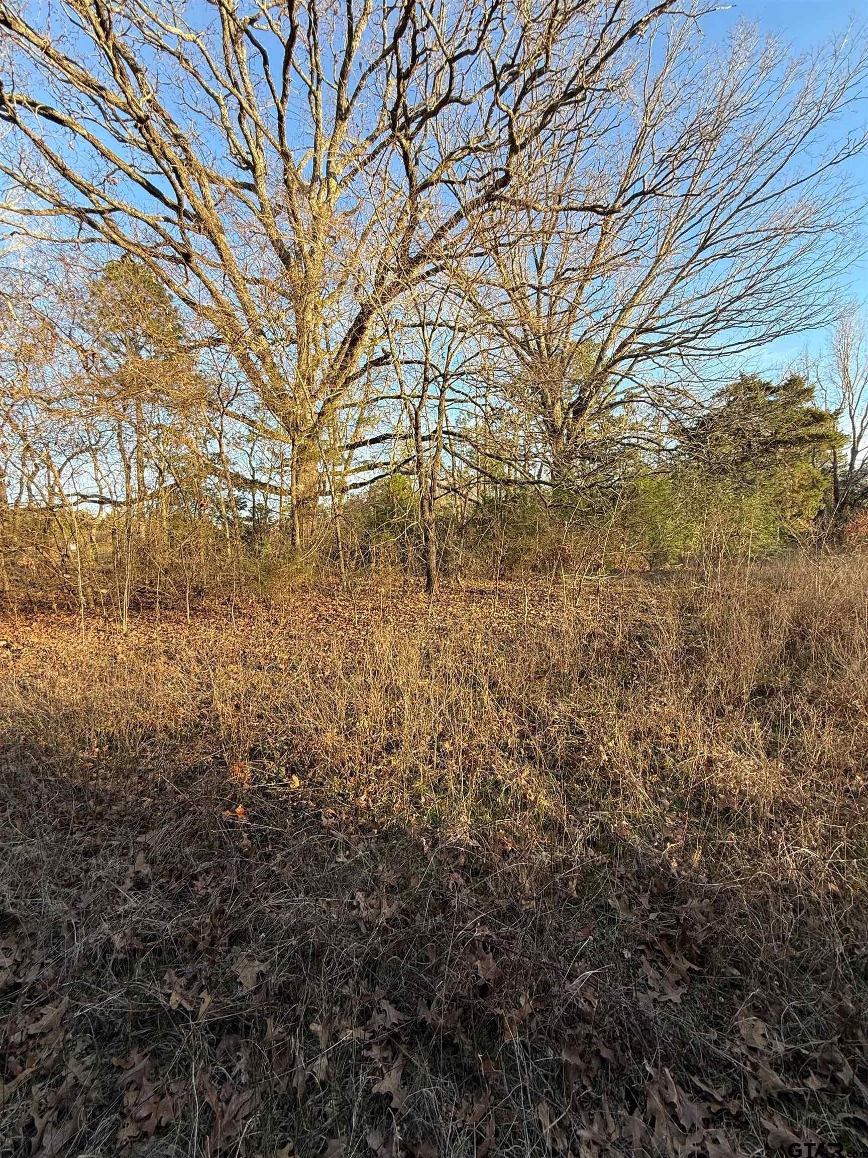3.24 acres in Titus County - photo 5