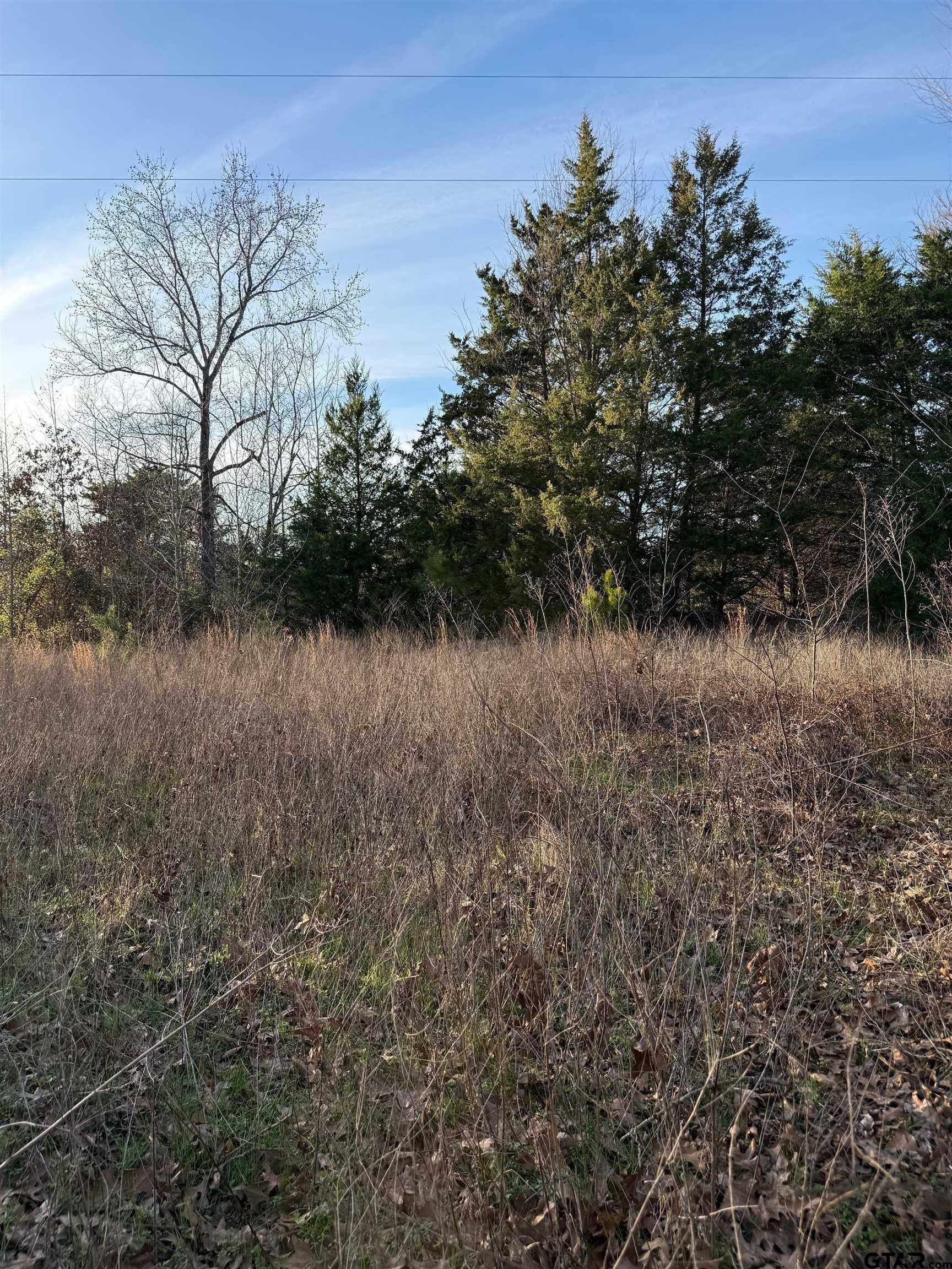 3.24 acres in Titus County - photo 11