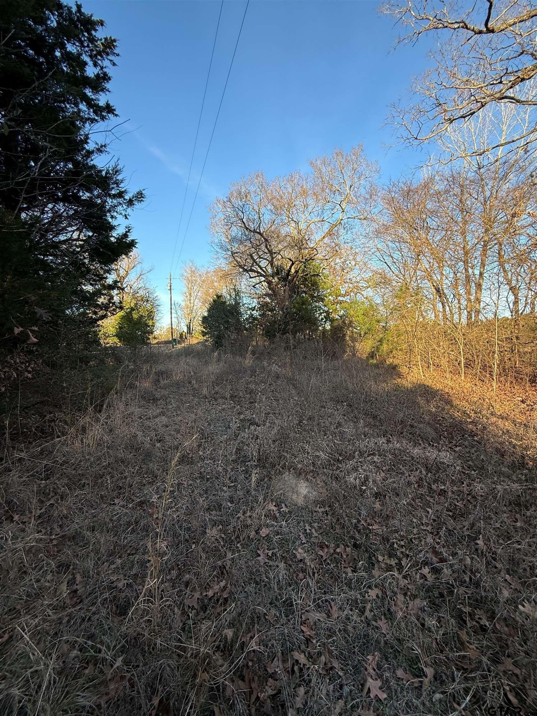 3.24 acres in Titus County - photo 6